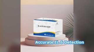 Набор IL-6 ELISA Kit 96 для точного обнаружения
