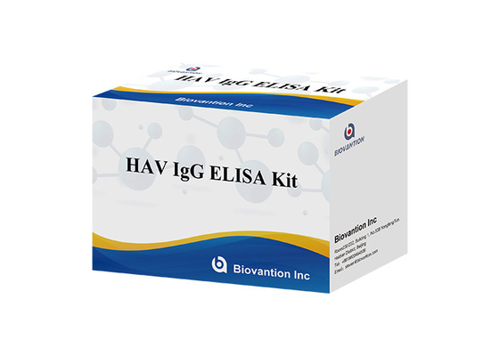Набор антитела набора HAV IgG Elisa диагностический для вируса Гепатита A
