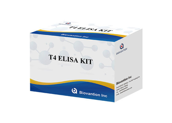 Комплект обнаружения тироксина T4 Elisa