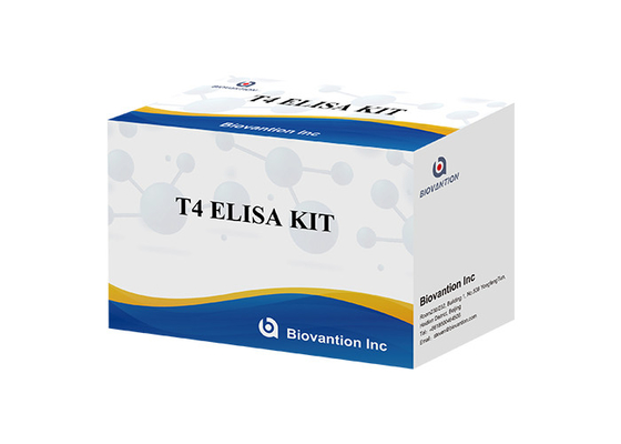 Тироксин T4 Elisa Detection Kit Высокая точность обнаружения Для больничного и лабораторного применения