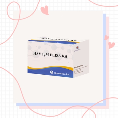 HAV IgM Elisa Test Гепатит А Диагностический комплект Иммуноанализ ферментов In Vitro