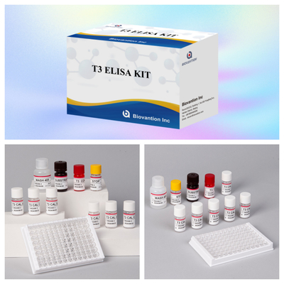 Customizable T3 Elisa Test Kit for Accurate and Biomarker Quantification