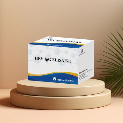 Набор ELISA высокой чувствительности HEV-IgG с размером 96T и сроком годности 18 месяцев для диагностики гепатита E