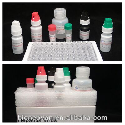 High Sensitivity HBsAg ELISA Test Kit with 2-3 Hours Assay Time and 18 Months Shelf Life for Hepatitis B Detection