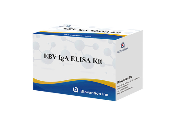 Образец плазмы теста Immunoassay энзима набора теста ELISA EBV-VCA IgA Ab