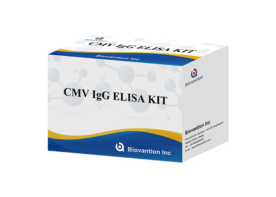 Лабораторный или больничный высокоточный комплект испытаний CMV IgG ELISA