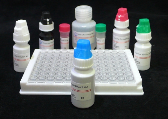 H.Pylori IgG Quant. Elisa Kit Origin Elisa Test Kit Format Kit от компании Biovantion
