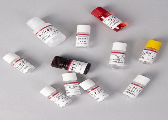Лабораторные или больничные антитела IgG к вирусу гепатита E HEV Elisa Test Kit
