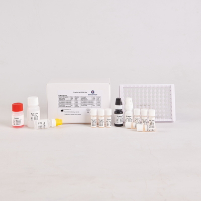 Для лабораторных или больничных испытаний с высокой точностью H.Pylori IgG Elisa