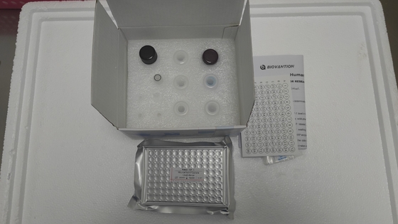 Человеческий инсулиноподобный фактор роста-1 ELISA Kit только для исследовательского применения/IGF-1 Elisa Kit