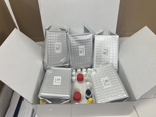 11-дегидротромбозан B2 11dhTxB2 ELISA тест-кит IVD высокая точность и простая работа