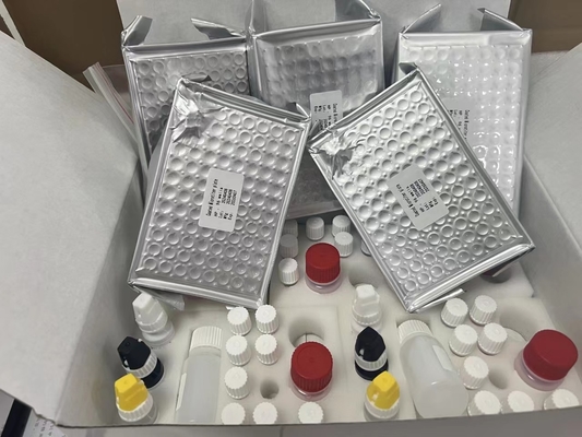 11-дегидротромбозан B2 11dhTxB2 ELISA тест-кит IVD высокая точность и простая работа