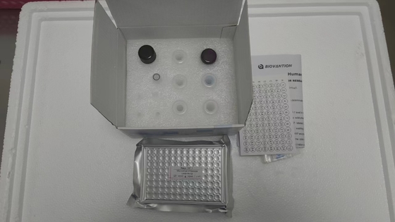IGF-1 RUO ELISA тест на специфичность сыворотки/плазмы Анализ 2-3 часа ELISA тест Хранится при 2-8.C