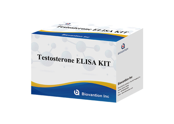Мужской половой гормон гормон тестостерона Количественный тест Elisa для диагностики