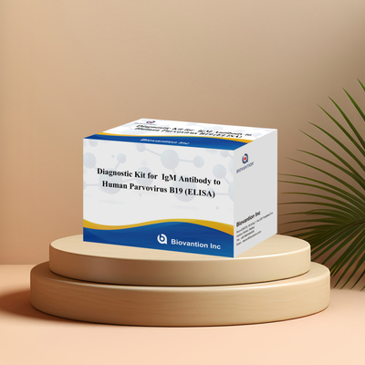 Диагностический комплект для человеческого парвовируса B19 IgM Антитела Elisa Test Kit с 96T
