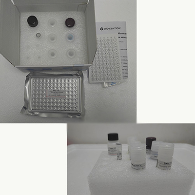 Витамин Е Elisa Test Kit Of Enzyme- Linked Product RESEARCH Использование только на животных