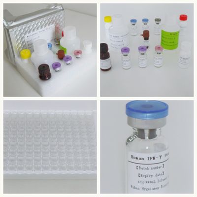 ТБ-ИГРА в сыворотке