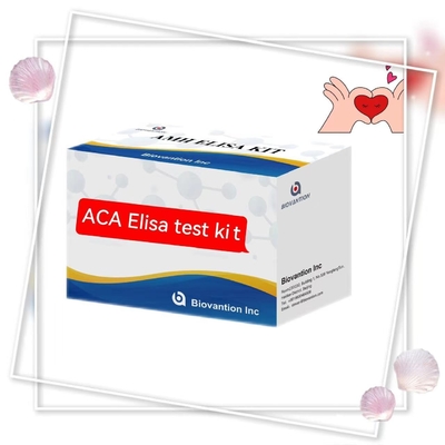 Специфичность 2-3 часа Анти-ACA IgM Elisa Испытание на животных с сроком годности 18 месяцев