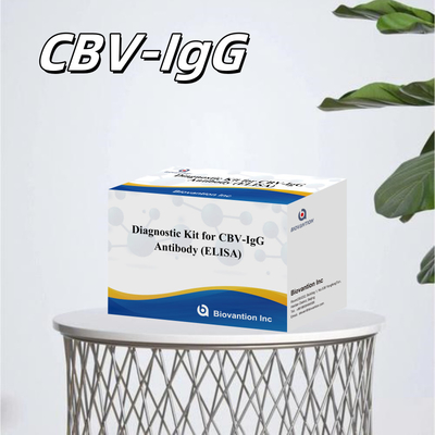 Диагностический комплект чувствительности для обнаружения CBV-IgG Антитела человека