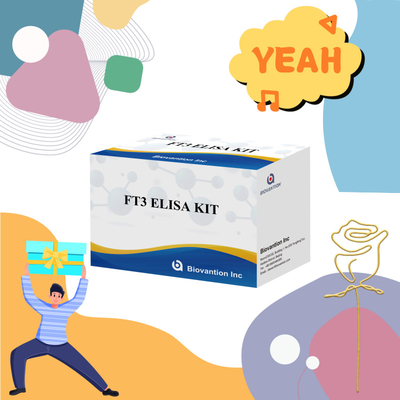 FT3 свободный трииодотиронин для диагностических реагентов для человека комплекты с 96T ELISA тест для клинической лаборатории больницы