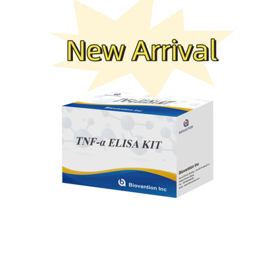 TNF-α RUO Elisa Test For Serum Plasma Точное и удобное диагностическое решение для исследований