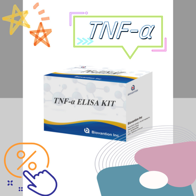 TNF-α RUO Elisa Test For Serum Plasma Точное и удобное диагностическое решение для исследований