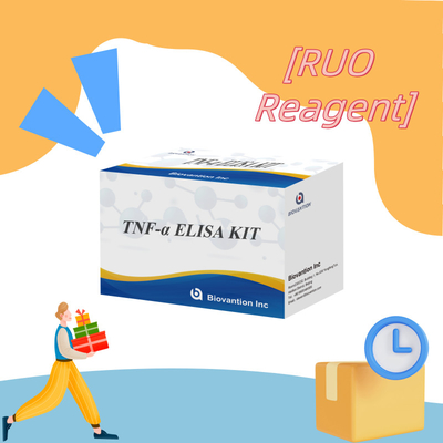 TNF-α RUO Elisa Test For Serum Plasma Точное и удобное диагностическое решение для исследований