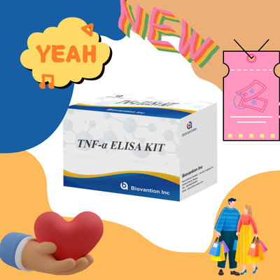 TNF-α RUO Elisa Test For Serum Plasma Точное и удобное диагностическое решение для исследований