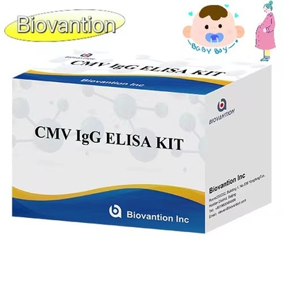 CMV IgG ELISA Kit Беременные женщины Профилактический тест Высокая точность