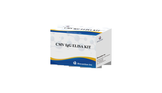 CMV IgG ELISA Kit Беременные женщины Профилактический тест Высокая точность