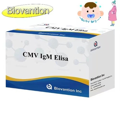 CMV IgM ELISA Kit Высокая точность Превентивный тест беременных женщин