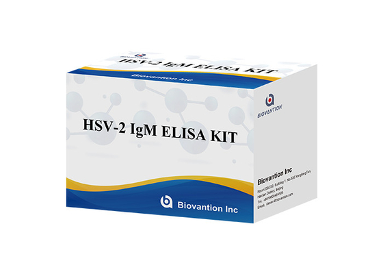 Набор для испытания на HSV 2 IgM Torch ELISA с высокой точностью
