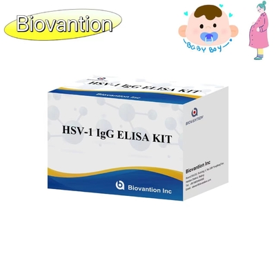 HSV 1 IgG Torch ELISA Test Kit Диагностический реагент IVD