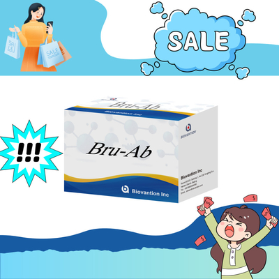 ELISA Animal Bru-Ab Elisa Reagent с 192t для свиней Козы Кровь и овцы