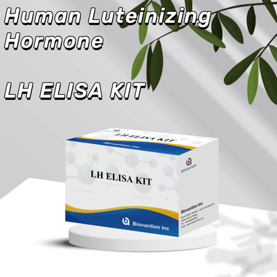Biovantion ELISA Test Kit for diagnosis Human Luteinizing Hormone LH (Quantitative) гормоны LH (количественный) гормоны LH (количественный) гормоны LH (количественный)