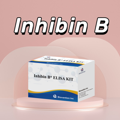 Biovantion Inhibin B Elisa Test Kit для диагностики 96T у людей