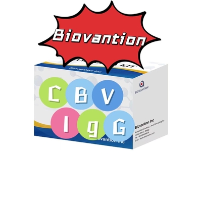 Диагностический комплект для антител CBV-IgG ELISA тест комплект сывороточный тест комплект