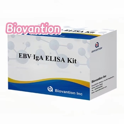 Антитело IgA к EBNA1 Elisa Test Kit Сером 50μL Формат набора образцов