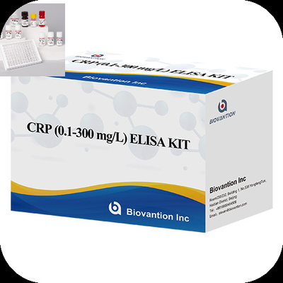 CRP 0,1-300 мг/л Специфичность Elisa Test Kit с быстрым 1-часовым временем анализа
