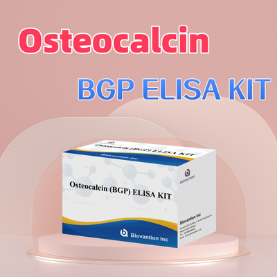 Комплект для обнаружения остеокальцина BGP для человека Реагент для обнаружения сывороточной плазмы человека