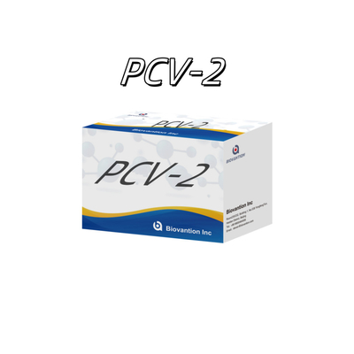 WB/S/P PCV-2 ELISA-тест на животные антител Ветеринарные реагенты
