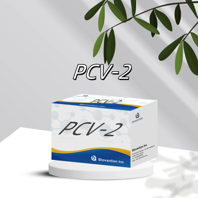 WB/S/P PCV-2 ELISA-тест на животные антител Ветеринарные реагенты