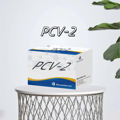WB/S/P PCV-2 ELISA-тест на животные антител Ветеринарные реагенты