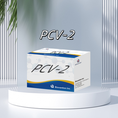 WB/S/P PCV-2 ELISA-тест на животные антител Ветеринарные реагенты