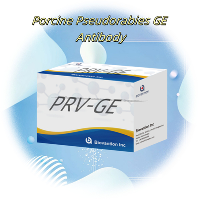 ELISA-тест на животных PRV-GB Свинская псевдорабия GB антител ветеринарные реагенты ivd