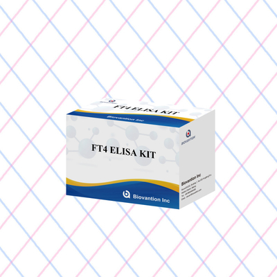 FT4 Elisa Kit с 95% чувствительностью к испытательному реагенту in vitro для применения у людей