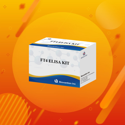 FT4 Elisa Kit с 95% чувствительностью к испытательному реагенту in vitro для применения у людей