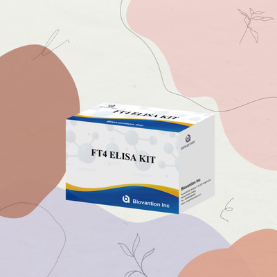 TOXO IgM IgG igg igm kit elisa для человека диагностический реагент тест-кит с 96 набором