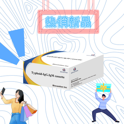 Горячая продажа Тифоз ИГМ ИГГ для лабораторий Больницы Тифозная лихорадка Кровавый быстрый тест