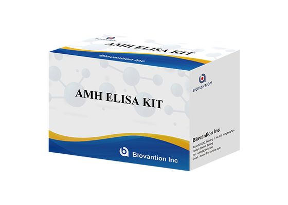 Антимуллерианский гормон AMH Elisa Test Kit Для применения у людей с сывороточной плазмой